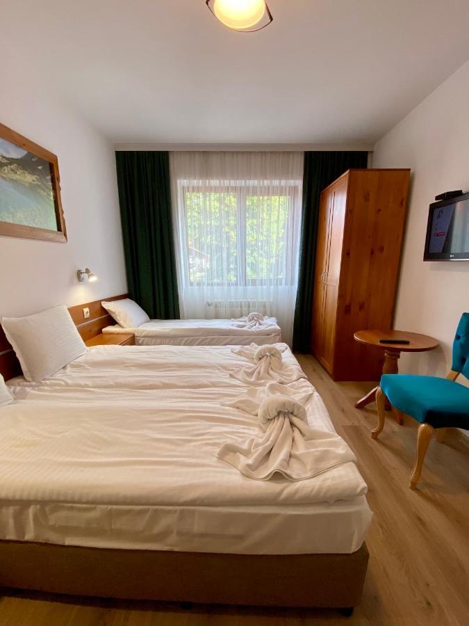 בנסקו Edelweiss Central Hotel מראה חיצוני תמונה