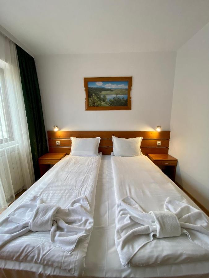 בנסקו Edelweiss Central Hotel מראה חיצוני תמונה